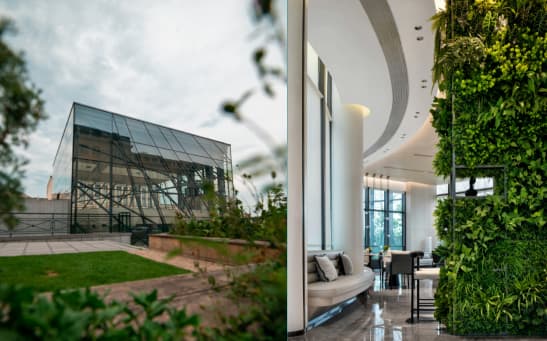 Sustentabilidade e Desperdício: Como Grandes Operações Lucram Mais